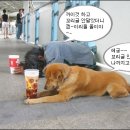 야 Daum카페