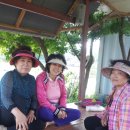 해영농장 이미지