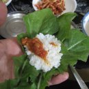 현철농장 이미지