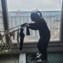 한문 | 2025년 제21회 전국한문실력경시대회 수상후기 / 14회~20회 기출문제