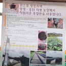 토담우렁쌈밥 - 화성시 | 토담우렁쌈밥