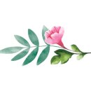 투썸플레이스아차산역점