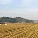 벌교김내과의원 이미지