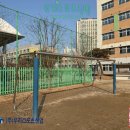 옥빛초등학교 이미지