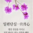 빨간정성