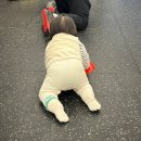 가-26 | 울산크로스핏ㅣ크로스핏그루브ㅣ울산 크로스핏 2달차 '크린이'가 직접 말하는 크로스핏 오픈 26 도전 후기