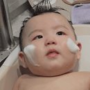 퓨어가든 | 아기 목욕 5분만에 끝! 목욕루틴 /케일라가든 퓨어캐스틸 버블폼 내돈내산 솔직 후기