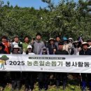 [newstomorrow] 부여군시설관리공단, 농촌일손돕기 봉사활동 펼쳐
