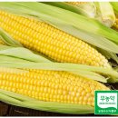 모단농장 이미지