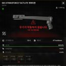 기각사거리-1 | [그레이 존 워페어] SKS 개조 후기