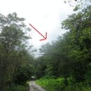 무릉도원면-34 이미지