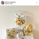 플로리스트혜선