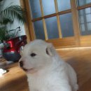 우리두리농장 이미지