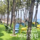 바다정원 속초카페거리 본점 이미지