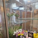 저전길 | ｜순천 순천고 인근 조용한 카페｜ 투아앤무아｜레터링 케이크와 아늑한 분위기가 좋았던 곳