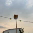 비토섬마린블루펜션 이미지