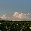 안성시립중앙도서관 전시실 이미지