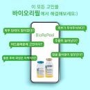 필바이오 네이버블로그