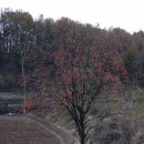 삼흥주유소 이미지