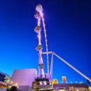 마포-서교-마포-3545 | [미국 서부 라스베가스 여행] 라스베가스 가 볼 만한 곳 : 웰컴 투 라스베가스 사인 / 다운타운 / 빅...