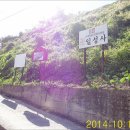 태영청솔아파트 앞 이미지