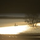 황금빛 노을 이미지