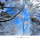 무등산 관리사무소앞 이미지