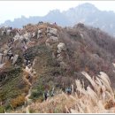 11월20일 (일) 전남 영암 월출산국립공원 이미지