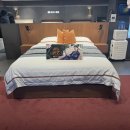 W.K 소프트 | 에이스침대 혼수 후기｜루체3(LUCE-III) + 하이브리드테크 레드(HT-R) 투매트 퀸(LQ) 가격 비교