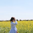 황산공원 축구장 | 양산 황산공원 행사 튤립 유채꽃밭 경남 가볼만한곳 꽃구경 후기