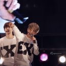 꽁냥꽁냥 이미지