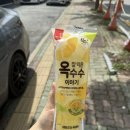한국기가포톤 노동조합 | 제목 뭐하지 털뭉치 세마리 등장하는 게시물