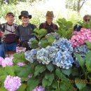 비석골근린공원 이미지