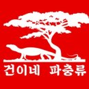 건이네 파충류 이미지