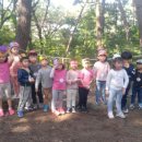 한독유치원 이미지