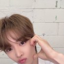 다이소대전 이미지