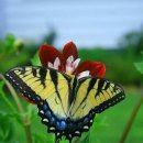 신생교회 앞 이미지