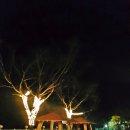 도둑골야영장 이미지