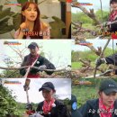 새봄이야 이미지