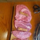 프라임 애견 이미지