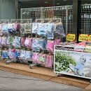 폴리파크 반송점 이미지