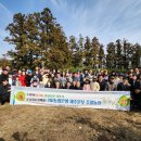 은행나무 농장 이미지