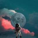 사진을 찍다 이미지