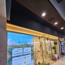 종로-현장-종로-세-183 | 종로 웨딩밴드 조이아쥬얼리 내돈내산 당일계약 후기