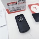 H6261 네이버블로그