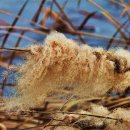 한주(아) 이미지