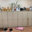 가고파안마원 이미지