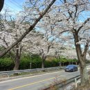 창원토월고등학교 이미지