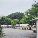 세라핌캠프 이미지