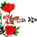 앨리스디자인 이미지